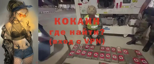 дмт Богородицк