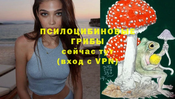 дмт Богородицк
