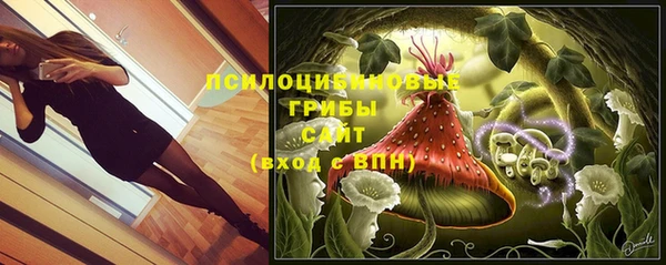 спайс Богородск
