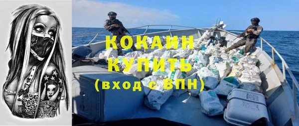 дмт Богородицк